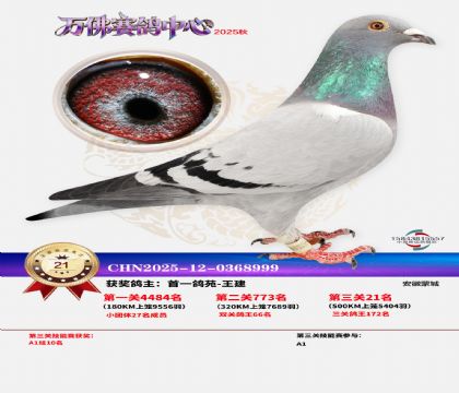 ����������21��