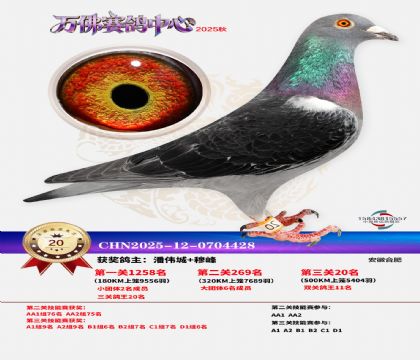 ����������20��