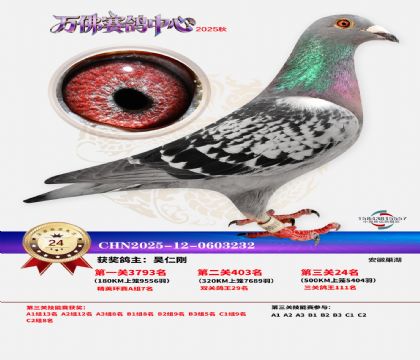 ����������24��