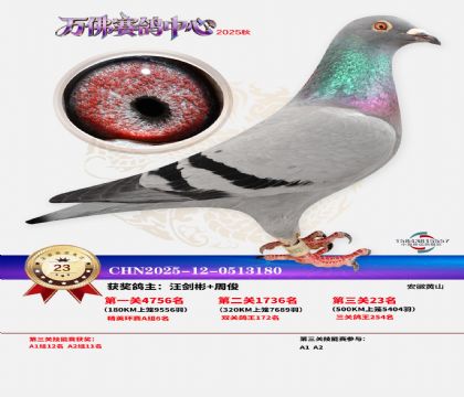 ����������23��