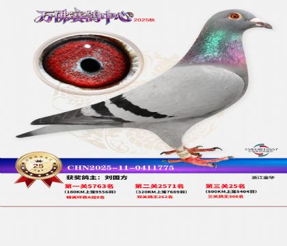 ����������25��