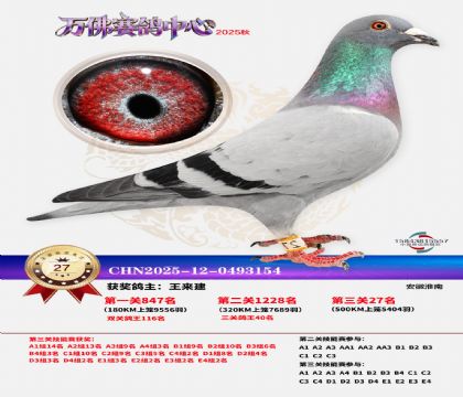 ����������27��