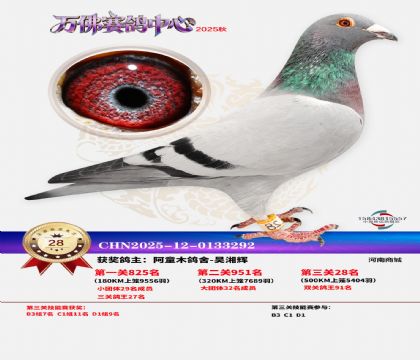 ����������28��