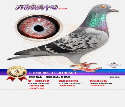 ����������30��