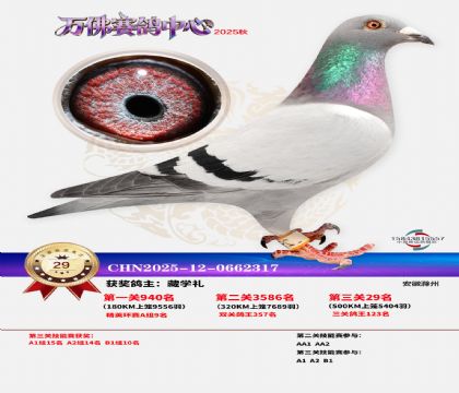 ����������29��