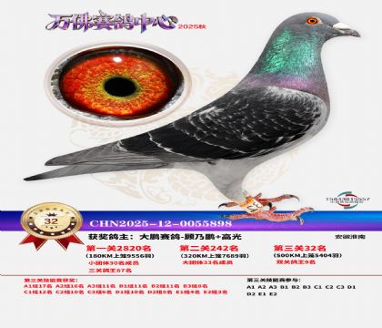 ����������32��