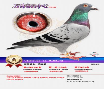 ����������33��