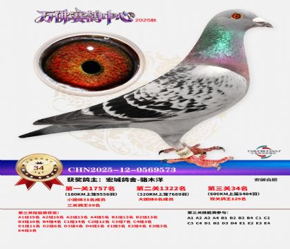 ����������34��