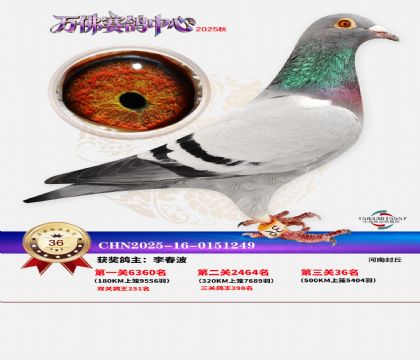 ����������36��