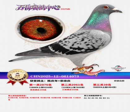 ����������38��