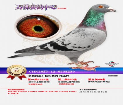 ����������40��