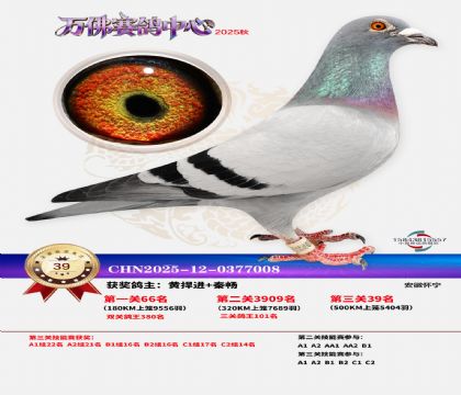 ����������39��