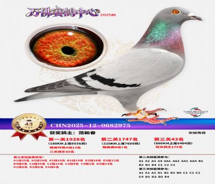 ����������43��