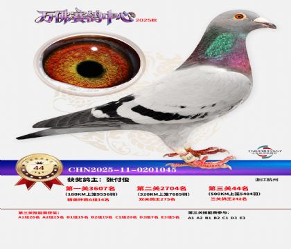 ����������44��