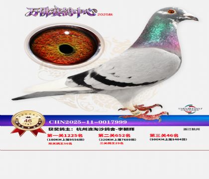 ����������46��