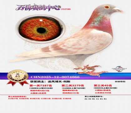 ����������45��