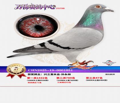 ����������47��