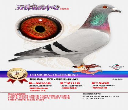 ����������49��