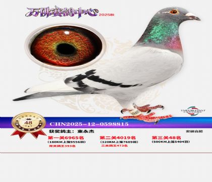 ����������48��