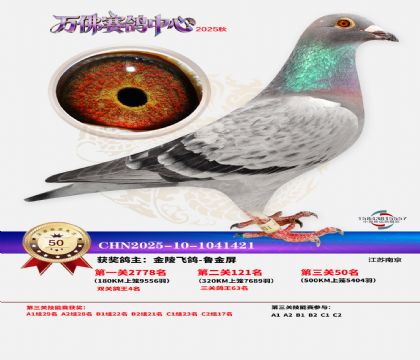 ����������50��