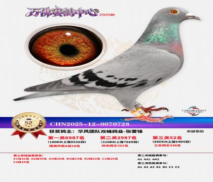 ����������52��