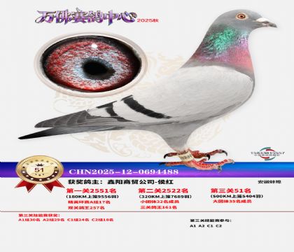 ����������51��