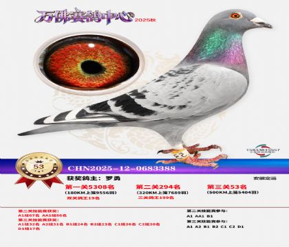 ����������53��