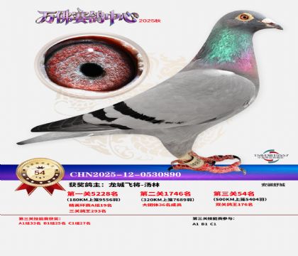 ����������54��