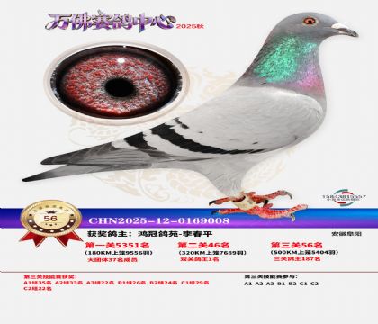 ����������56��