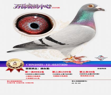 ����������58��