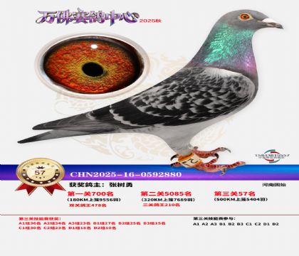 ����������57��