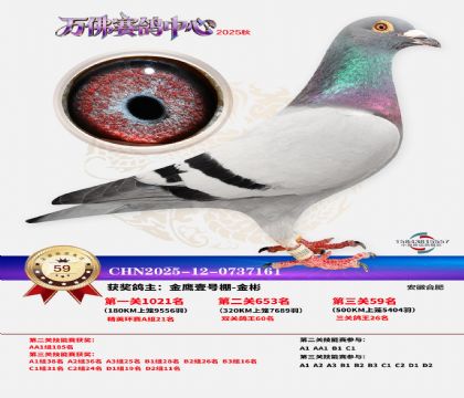 ����������59��