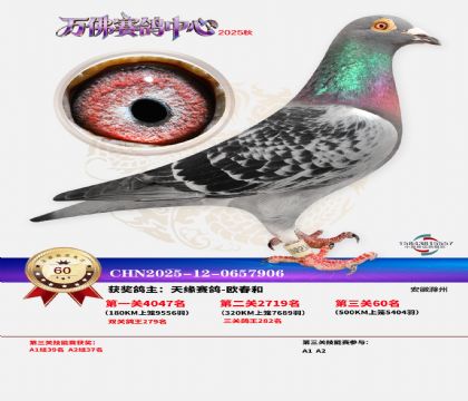 ����������60��