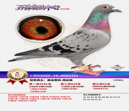 ����������61��