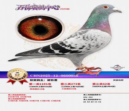 ����������62��