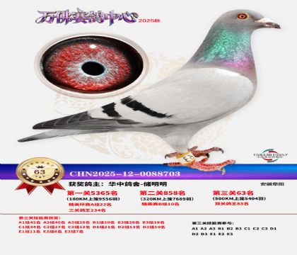 ����������63��