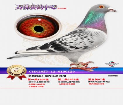 ����������67��