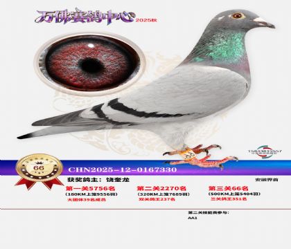 ����������66��