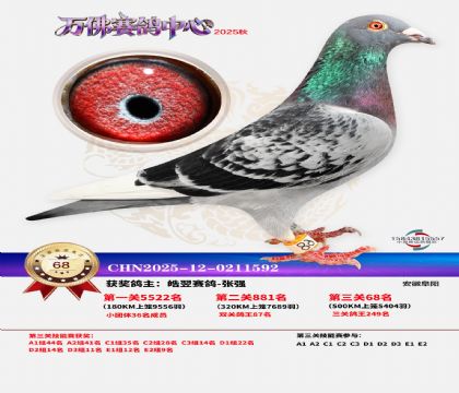 ����������68��