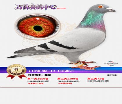 ����������71��