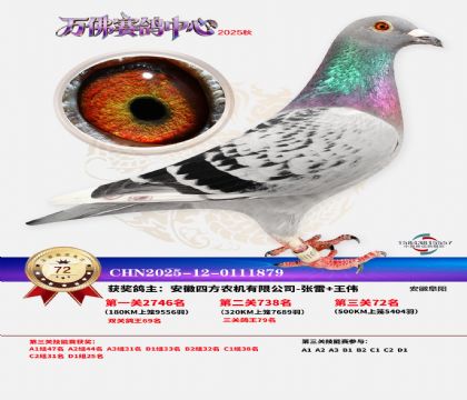 ����������72��