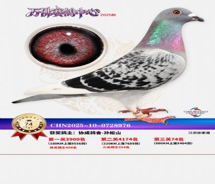 ����������74��