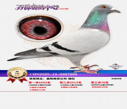 ����������76��