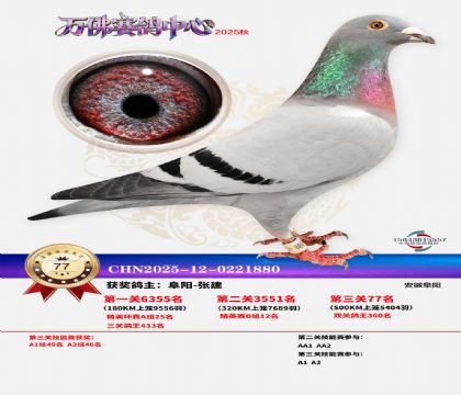 ����������77��