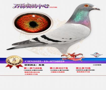 ����������78��