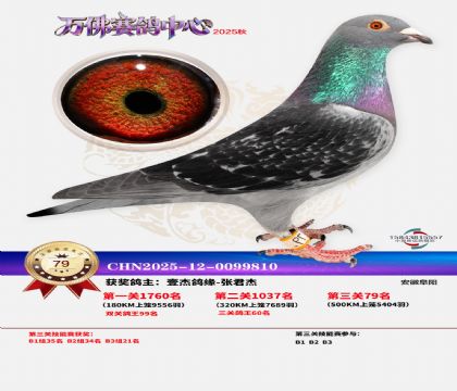 ����������79��