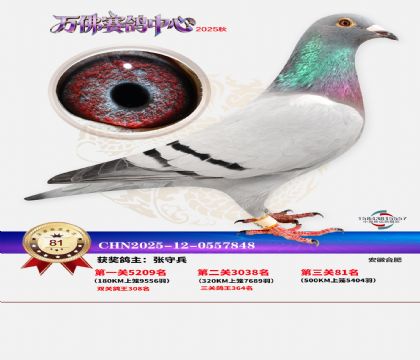 ����������81��