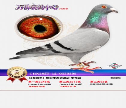 ����������82��