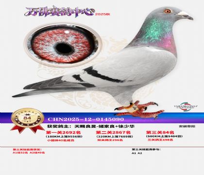 ����������84��