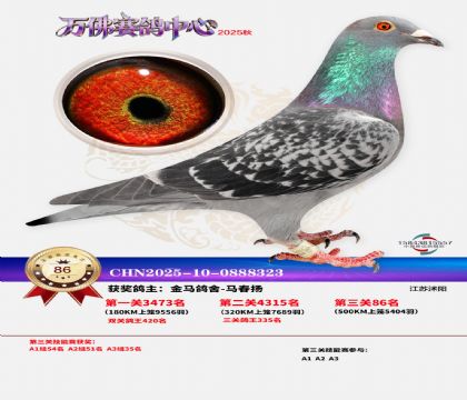 ����������86��